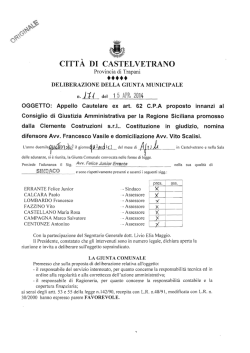 citt&agrave; di castelvetrano