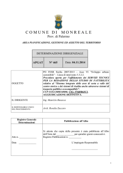 20141104_5666_1120_determina dirigenziale n