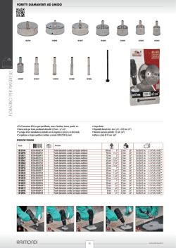 Download ITA - Raimondi spa