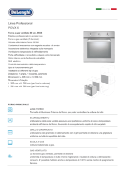 Linea Professional PGVX 6