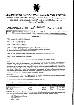 Indizione conferenza di servizi ex art. 14 comma 3 della legge 241