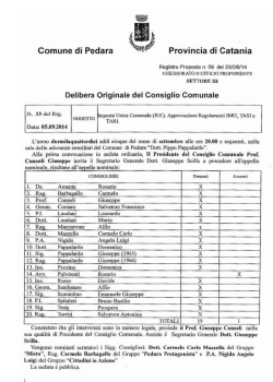 Delibera approvazione regolamento