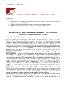 Newsletter Gime n.2 Maggi
