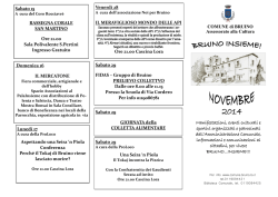 COMUNE di BRUINO Assessorato alla Cultura Manifestazioni