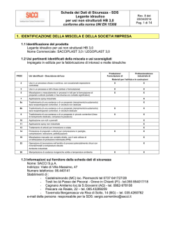 Scheda di Sicurezza del Legante Idraulico