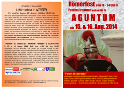 Plakat R&ouml;merfest