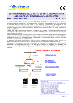 1.413 Scheda tecnica carc Colon Retto