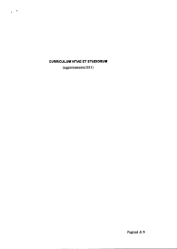 Curriculum L. Saravo - Universit&agrave; degli Studi di Messina