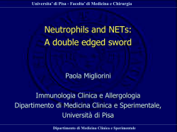 slides - Universit&agrave; degli Studi di Pisa