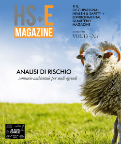 Vol.13 – N.1 - HS+E Magazine