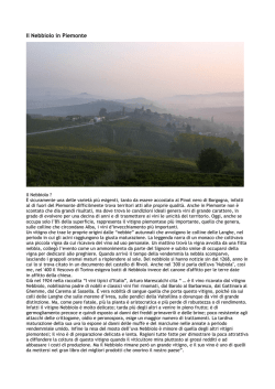 Il Nebbiolo in Piemonte