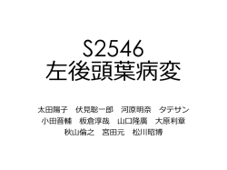 S2546 左後頭葉病変 - Plaza.umin.ac.jp