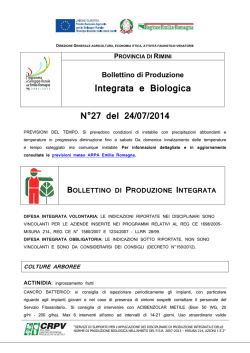 bollettino n.27 del 24 luglio