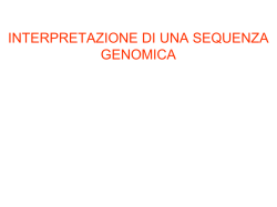 Nessun titolo diapositiva