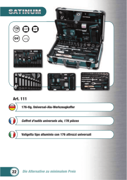 promo cassetta attrezzi satinum