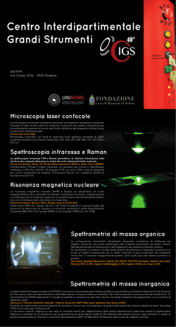 Centro Interdipartimentale Grandi Strumenti - CIGS