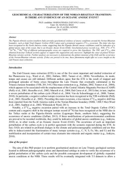 IS THERE ANY EVIDENCE OF AN OCEANIC ANOXIC EVENT?