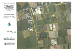 Mappa - Comune di Montichiari
