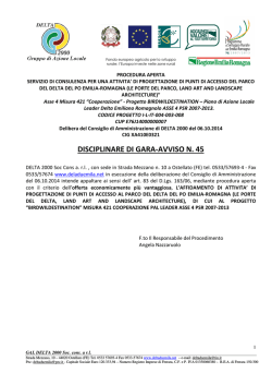 DISCIPLINARE DI GARA-AVVISO N. 45