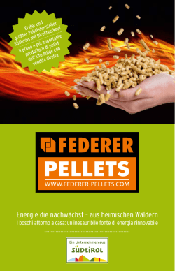 Energie die nachw&auml;chst &ndash; aus heimischen W&auml;ldern - Federer