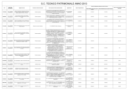 S.C. TECNICO PATRIMONIALE ANNO 2013