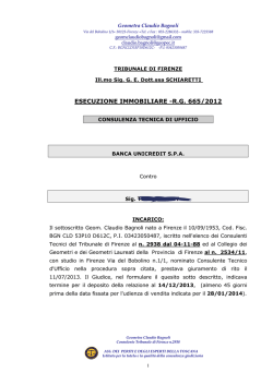 CTU-ESEC-THOMAS-665-2012-PERIZIA