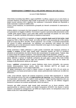 articolo - Birdstrike