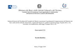 Osservazioni CUG Tavola Sinottica Roma, 29 luglio 2014
