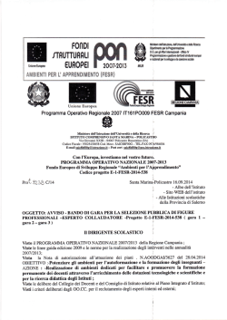 Bando Esperto Collaudatore Fesr E-1-2014-538