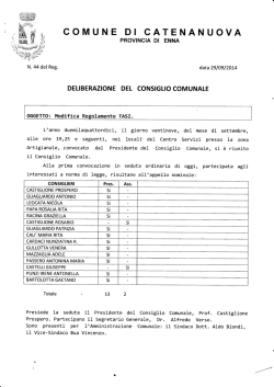 modifica Regolamento - Comune di Catenanuova