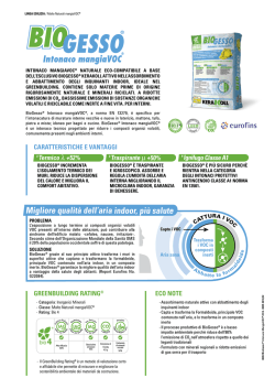 BioGesso&reg; Intonaco mangiaVOC