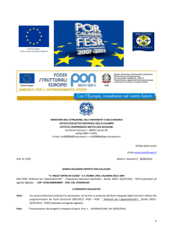 Bando selezione esperto per collaudo E-1-FESR-2014-146