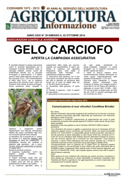 BAI NUOVO PAG 1