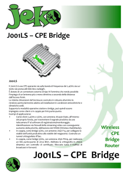 J001LS &ndash; CPE Bridge