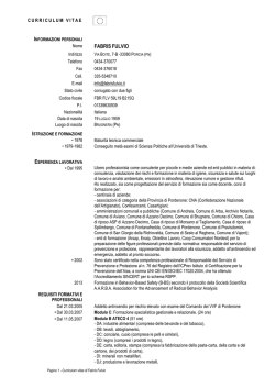 Curriculum Fabris Fulvio
