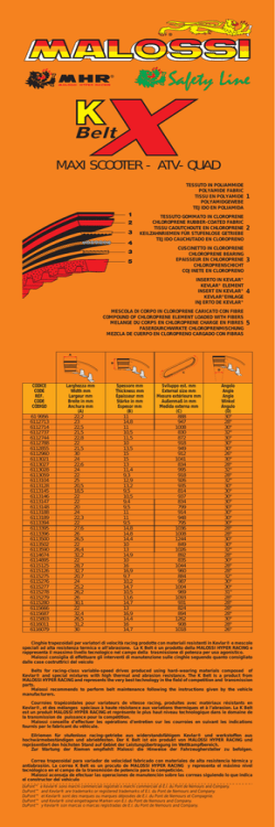 MAXI SCOOTER - ATV-QUAD