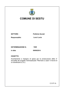 COMUNE DI SESTU