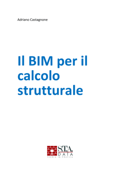 Il BIM per il calcolo strutturale