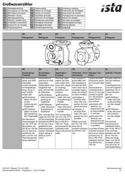 Montage Grosswasserzaehler