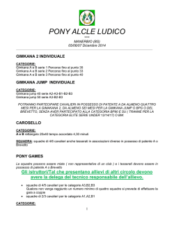 PONY ALCLE LUDICO