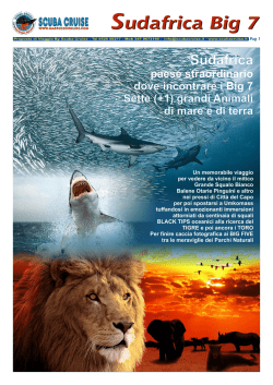 brochure - Scuba Cruise