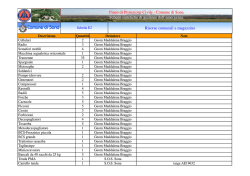 Scheda E2 Piano Protezione Civile