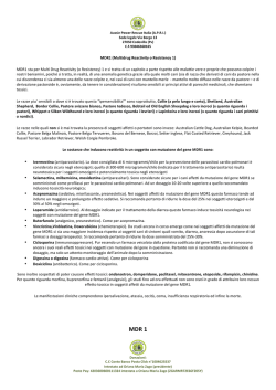 mdr1 - WordPress.com