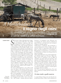 A Montebaducco il regno degli asini