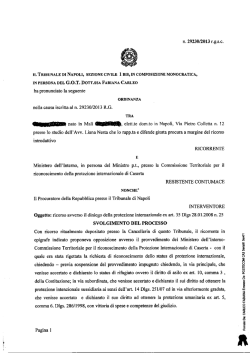 IL TRIBUNALE DI NAPOLI, SEZIONE CIVILE 1 BIS, IN