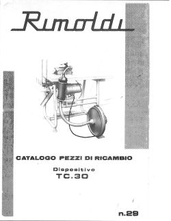 TC. 3D n.29