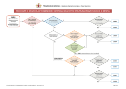 DIAGRAMMA DI FLUSSO - Procedura ordinaria - Denuncia CA-ZS