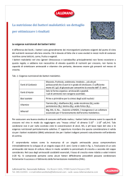 La nutrizione dei batteri malolattici: un dettaglio per