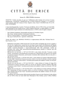 verbale seduta 19_02_2014