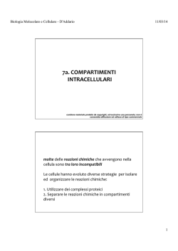 7a. compartimenti intracellulari - E